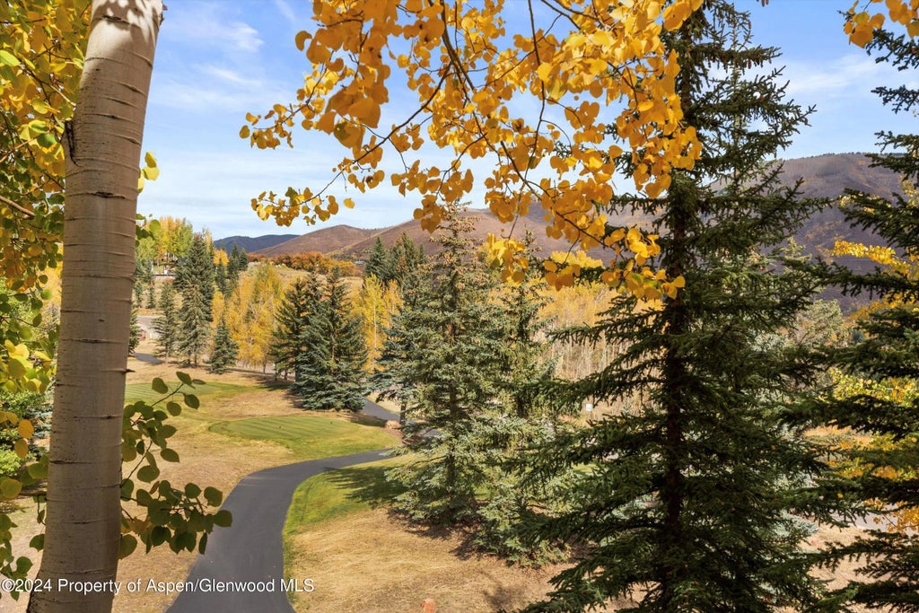 32 of 34 - 713 Oregon Trail, Aspen, CO