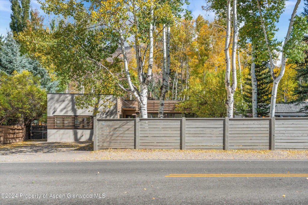 12 of 39 - 982 Cemetery Lane, Aspen, CO