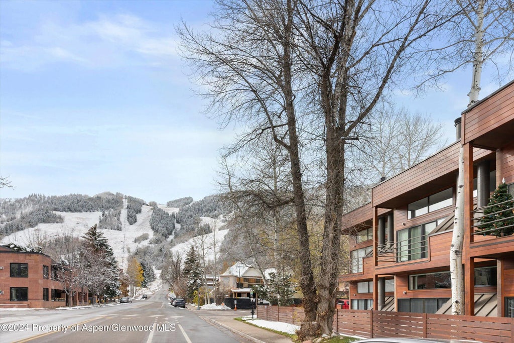 19 of 21 - 311 S Aspen Street 2, Aspen, CO