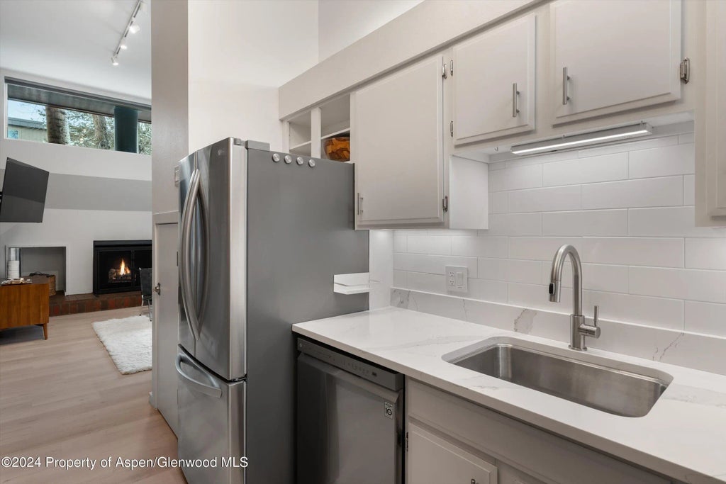 8 of 21 - 311 S Aspen Street 2, Aspen, CO
