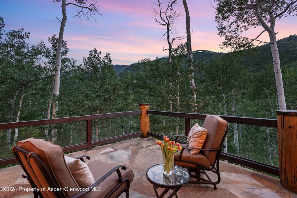 14 of 49 - 335 Hall Drive, Aspen, CO