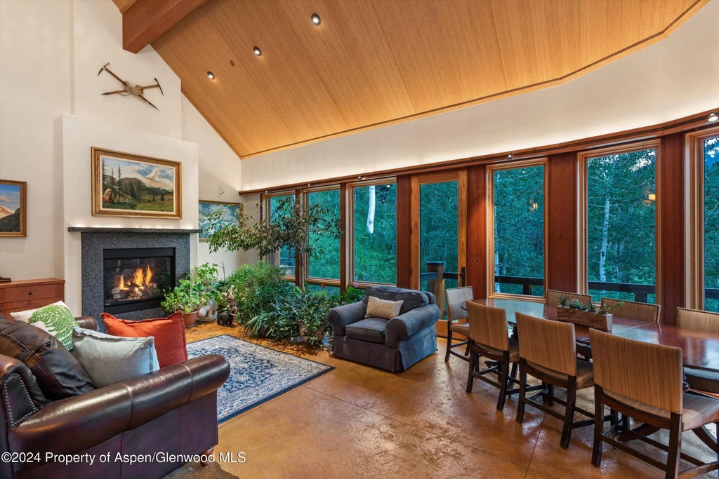 15 of 49 - 335 Hall Drive, Aspen, CO