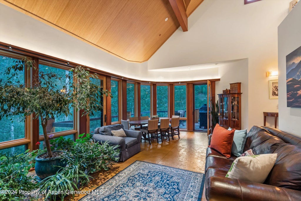 17 of 49 - 335 Hall Drive, Aspen, CO