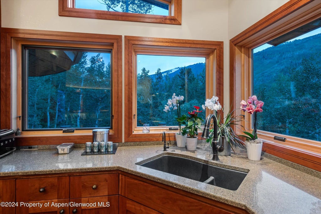 23 of 49 - 335 Hall Drive, Aspen, CO