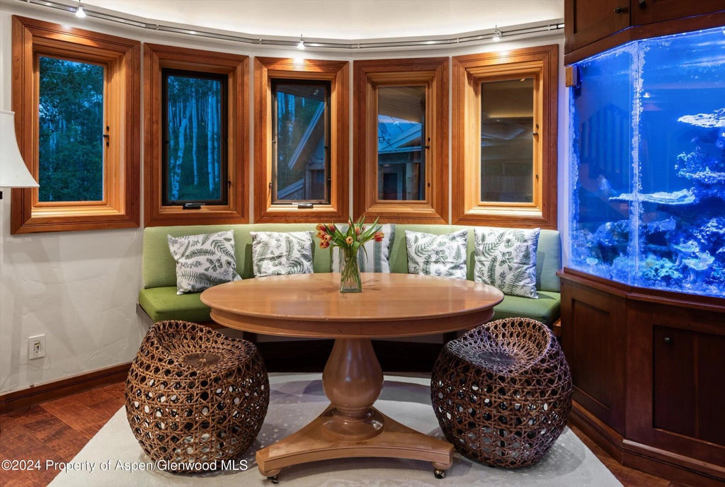 25 of 49 - 335 Hall Drive, Aspen, CO
