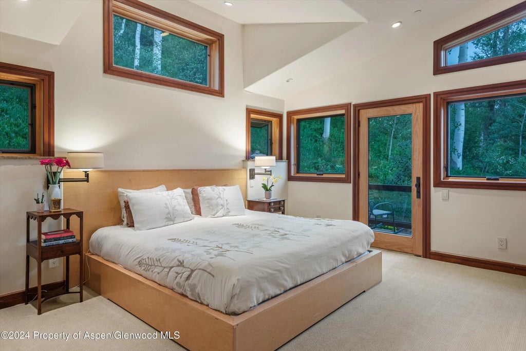 30 of 49 - 335 Hall Drive, Aspen, CO