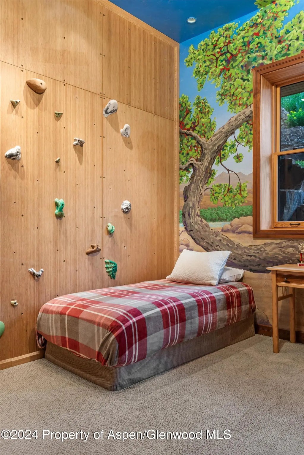 39 of 49 - 335 Hall Drive, Aspen, CO
