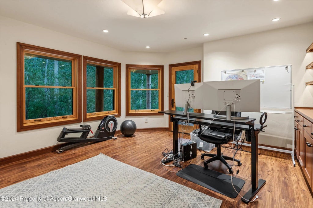 43 of 49 - 335 Hall Drive, Aspen, CO