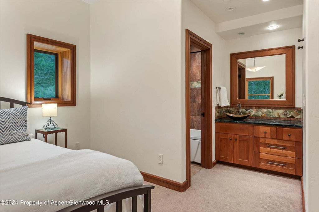 45 of 49 - 335 Hall Drive, Aspen, CO
