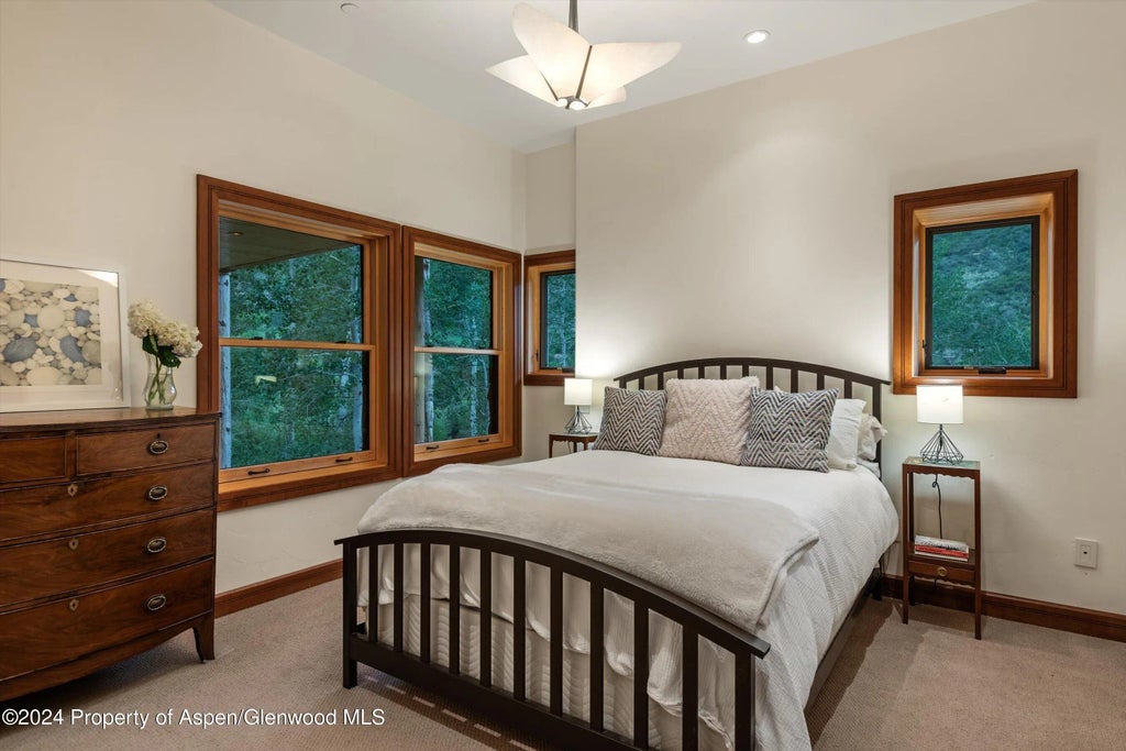 46 of 49 - 335 Hall Drive, Aspen, CO