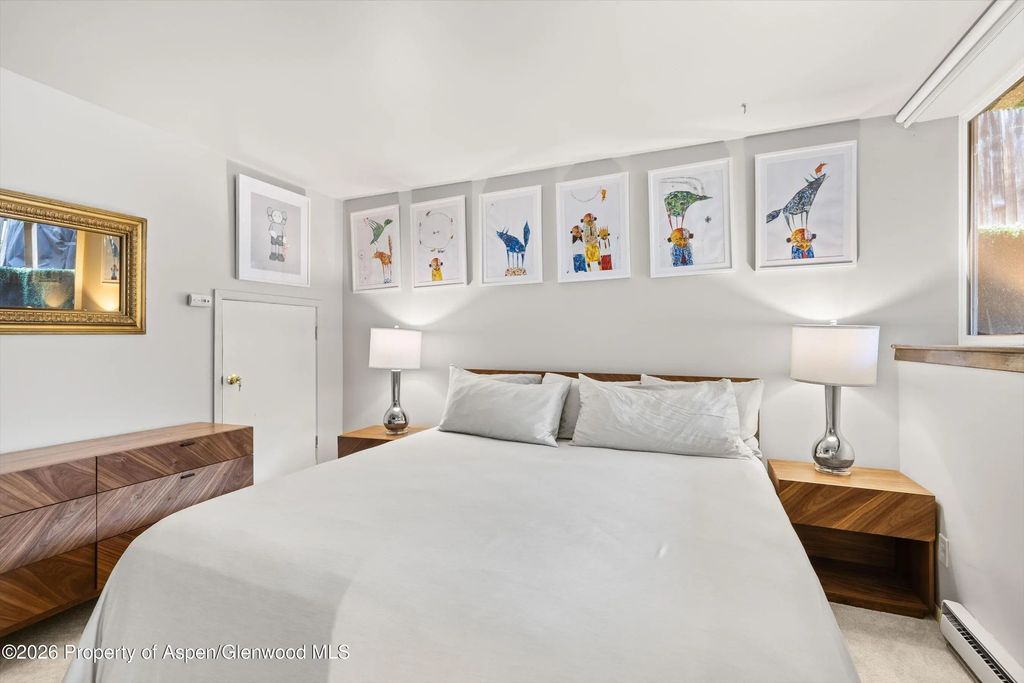 10 of 17 - 217 W Bleeker Street, Aspen, CO
