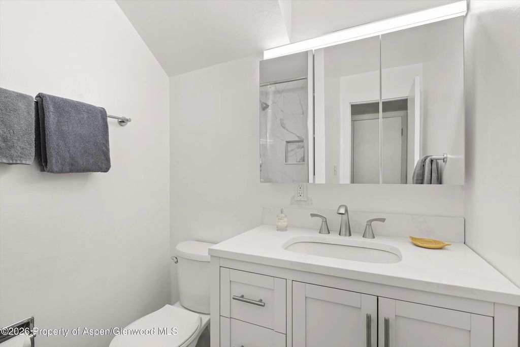 11 of 17 - 217 W Bleeker Street, Aspen, CO