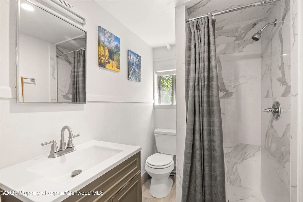 13 of 17 - 217 W Bleeker Street, Aspen, CO