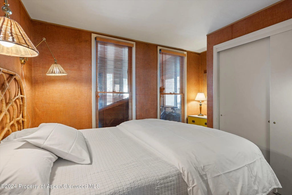 13 of 19 - 217 W Bleeker Street, Aspen, CO