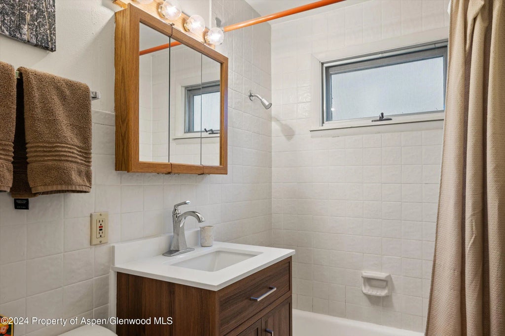 14 of 19 - 217 W Bleeker Street, Aspen, CO