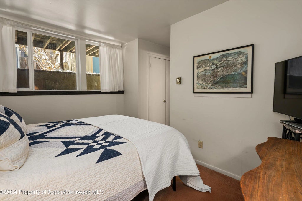 15 of 19 - 217 W Bleeker Street, Aspen, CO