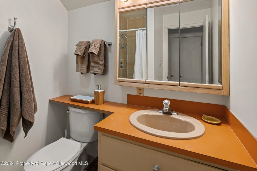 16 of 19 - 217 W Bleeker Street, Aspen, CO