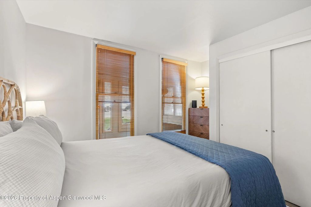 7 of 17 - 217 W Bleeker Street, Aspen, CO