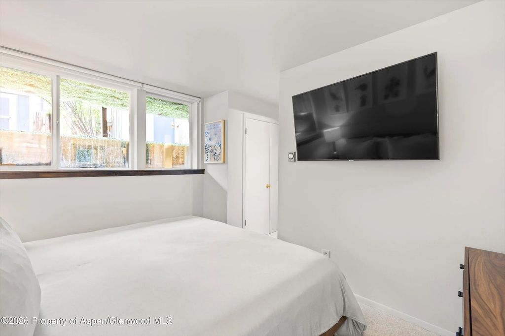 9 of 17 - 217 W Bleeker Street, Aspen, CO
