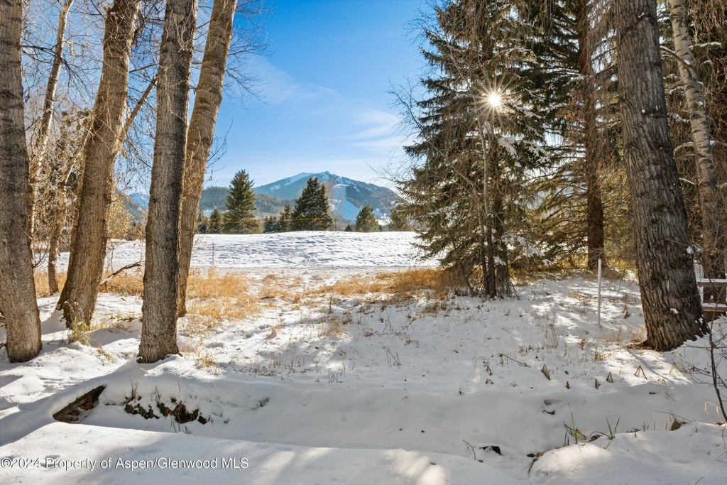 37 of 47 - 825 Cemetery Lane 2, Aspen, CO