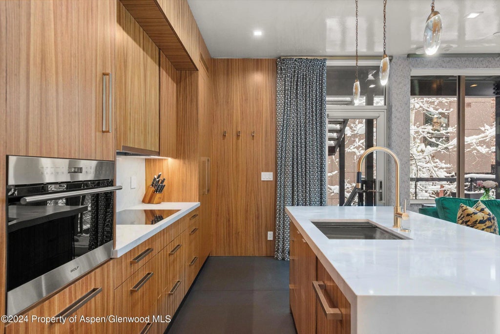 8 of 22 - 434 E Main Street 203, Aspen, CO