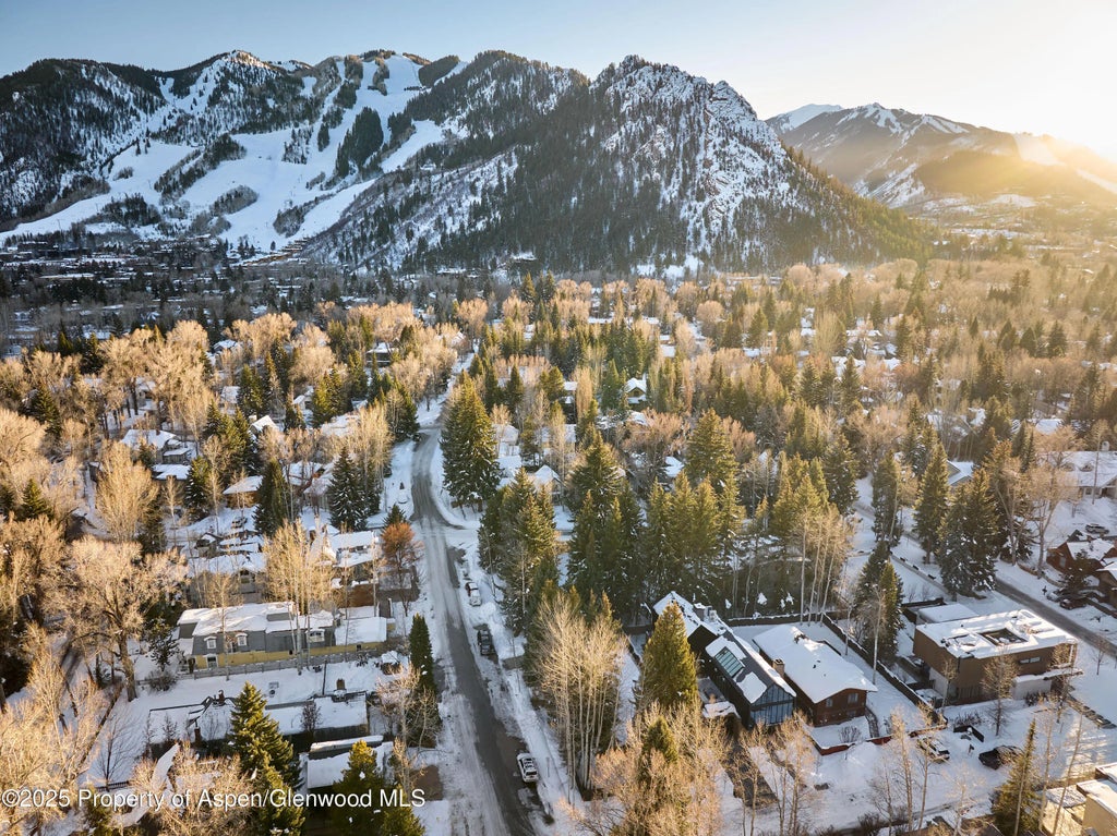 42 of 45 - 411 Pearl Court, Aspen, CO