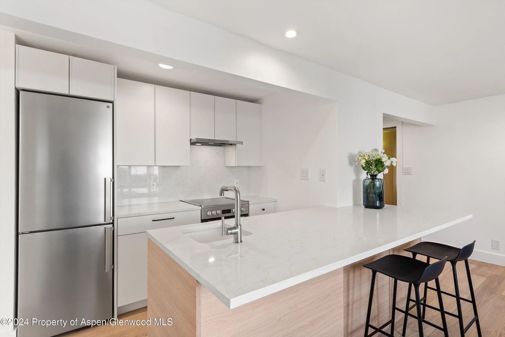119 E Cooper Avenue 26, Aspen