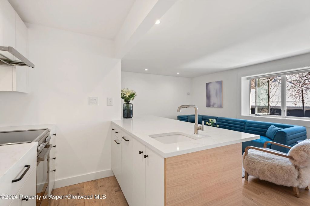 6 of 15 - 119 E Cooper Avenue 26, Aspen, CO