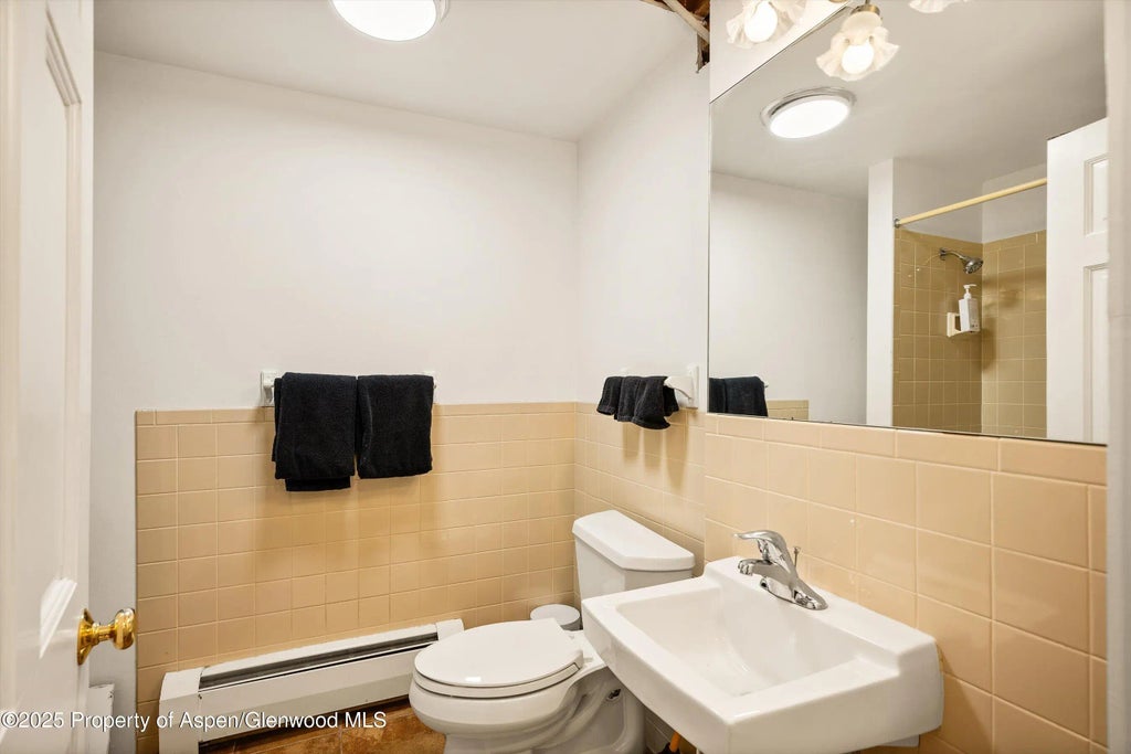 29 of 38 - 406 W Smuggler Street, Aspen, CO