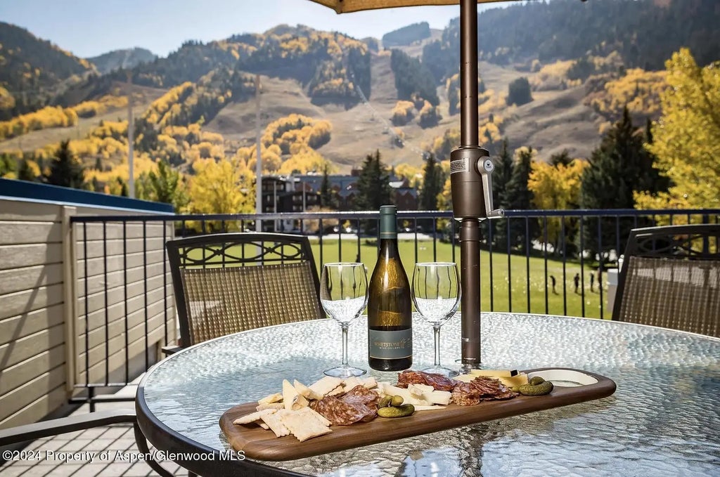 2 of 4 - 301 E Hyman Avenue #302 (weeks 34, 39, 41), Aspen, CO