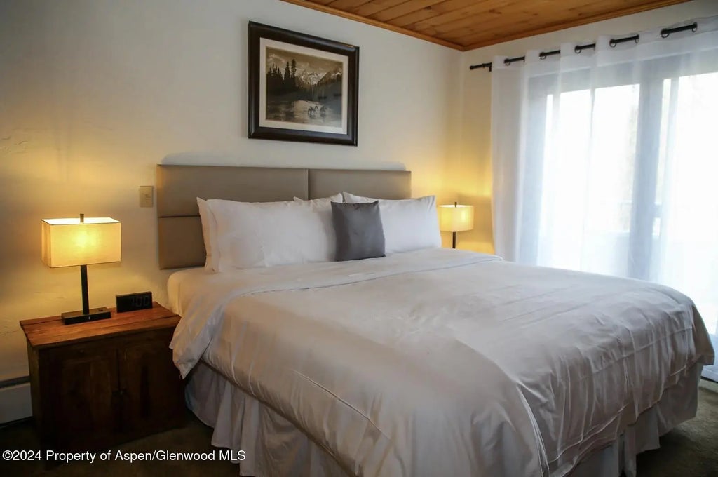 4 of 4 - 301 E Hyman Avenue #302 (weeks 34, 39, 41), Aspen, CO