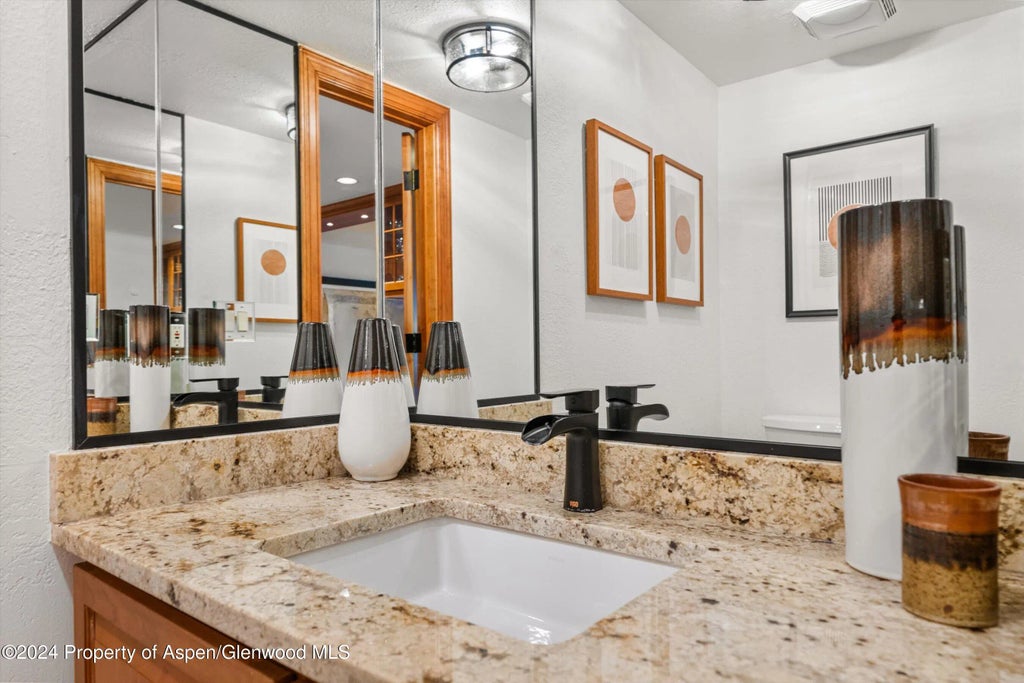 14 of 30 - 326 W Hopkins Avenue, Aspen, CO