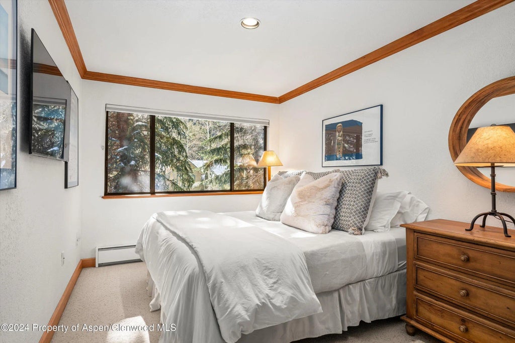 25 of 30 - 326 W Hopkins Avenue, Aspen, CO