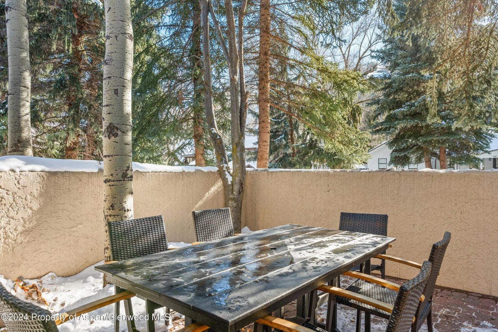 27 of 30 - 326 W Hopkins Avenue, Aspen, CO