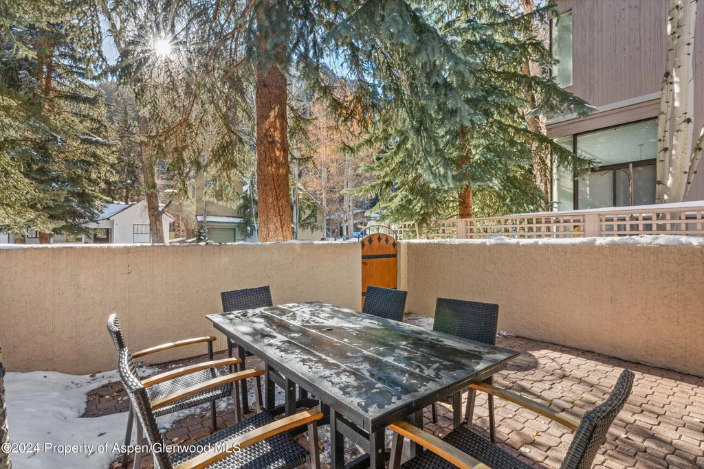 28 of 30 - 326 W Hopkins Avenue, Aspen, CO