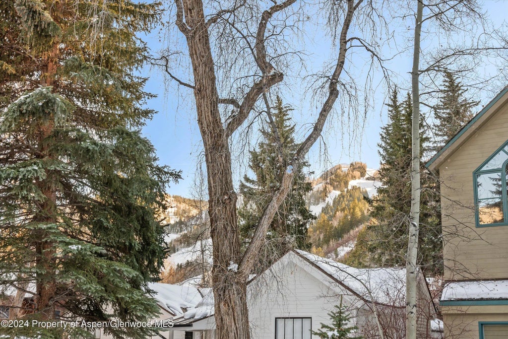 30 of 30 - 326 W Hopkins Avenue, Aspen, CO