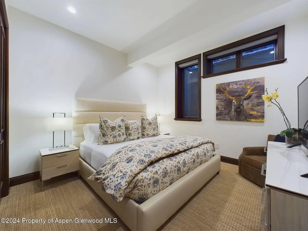 26 of 42 - 910 E Cooper Avenue, Aspen, CO