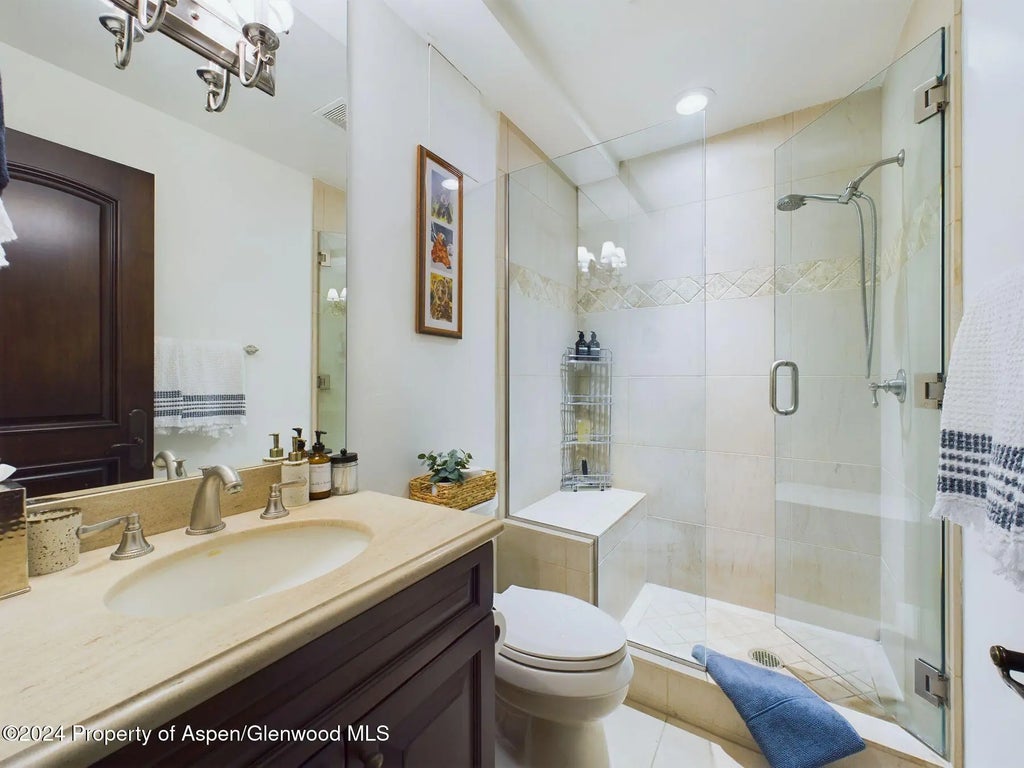 31 of 42 - 910 E Cooper Avenue, Aspen, CO