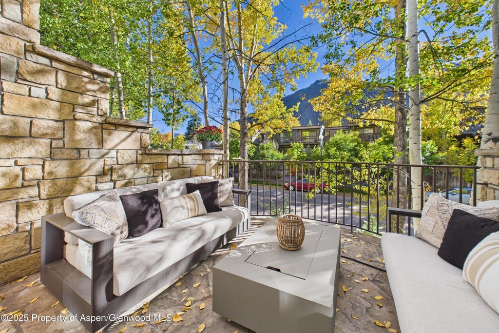 37 of 42 - 910 E Cooper Avenue, Aspen, CO