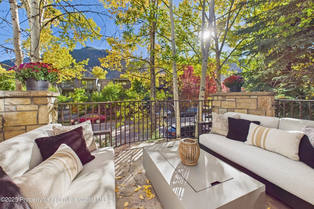 38 of 42 - 910 E Cooper Avenue, Aspen, CO