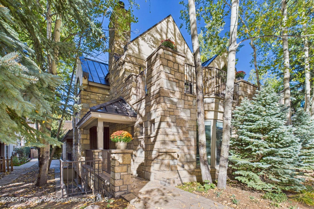41 of 42 - 910 E Cooper Avenue, Aspen, CO