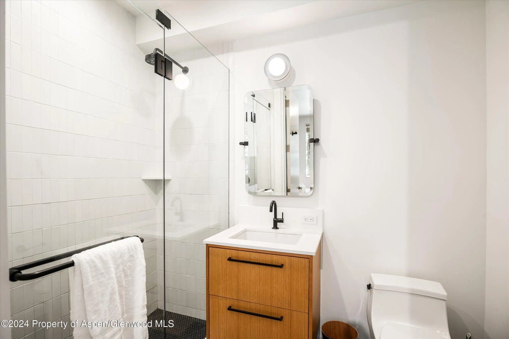 8 of 11 - 501 W Main Street A101, Aspen, CO
