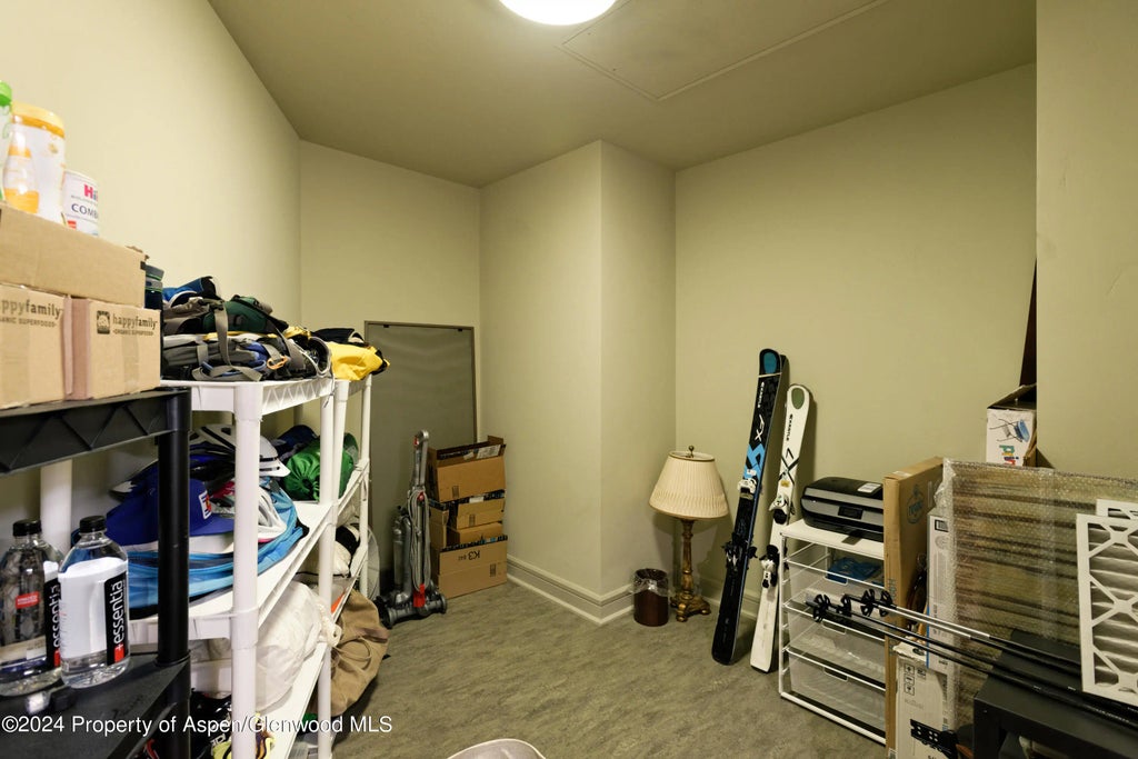 29 of 29 - 501 Rio Grande Place Unit 204, Aspen, CO