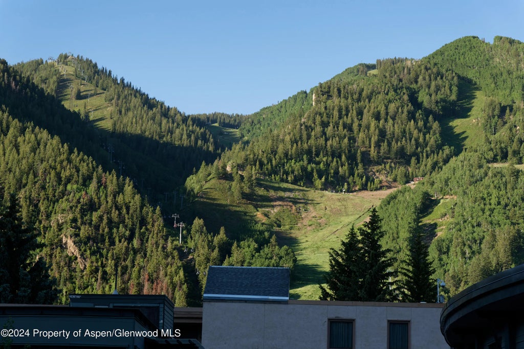 6 of 29 - 501 Rio Grande Place Unit 204, Aspen, CO