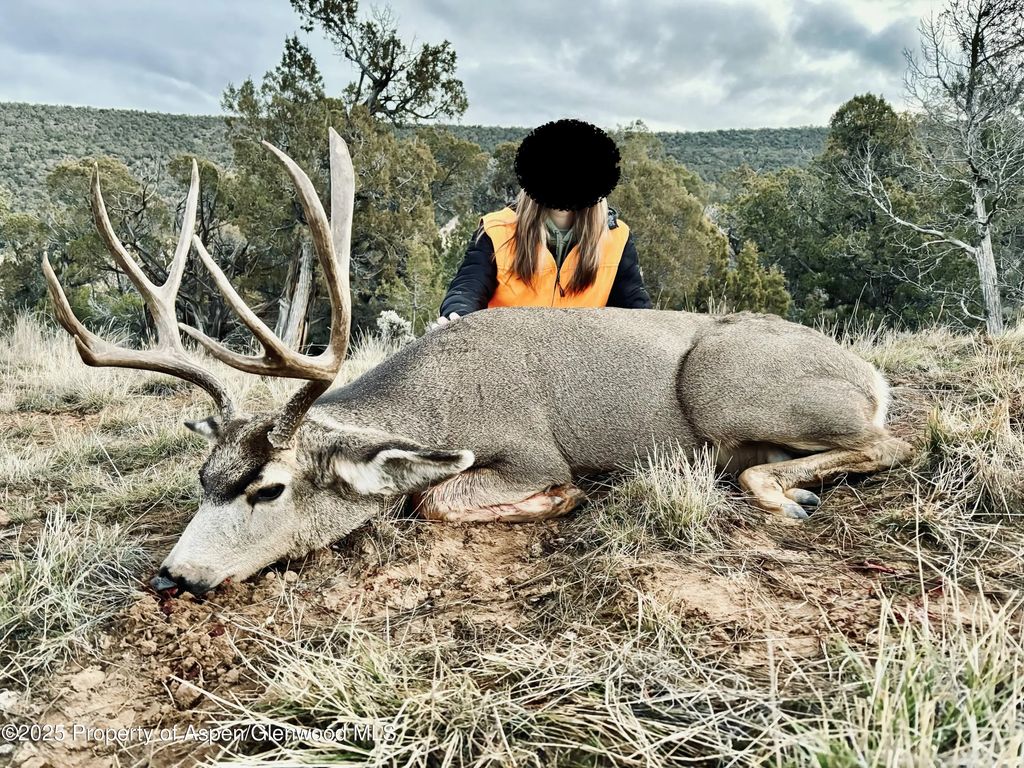 10 of 48 - 10444 County Road 320, Rifle, CO