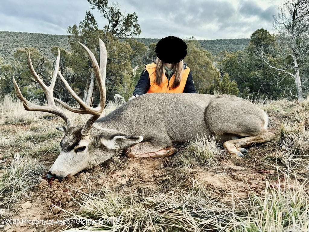 47 of 48 - 10444 County Road 320, Rifle, CO