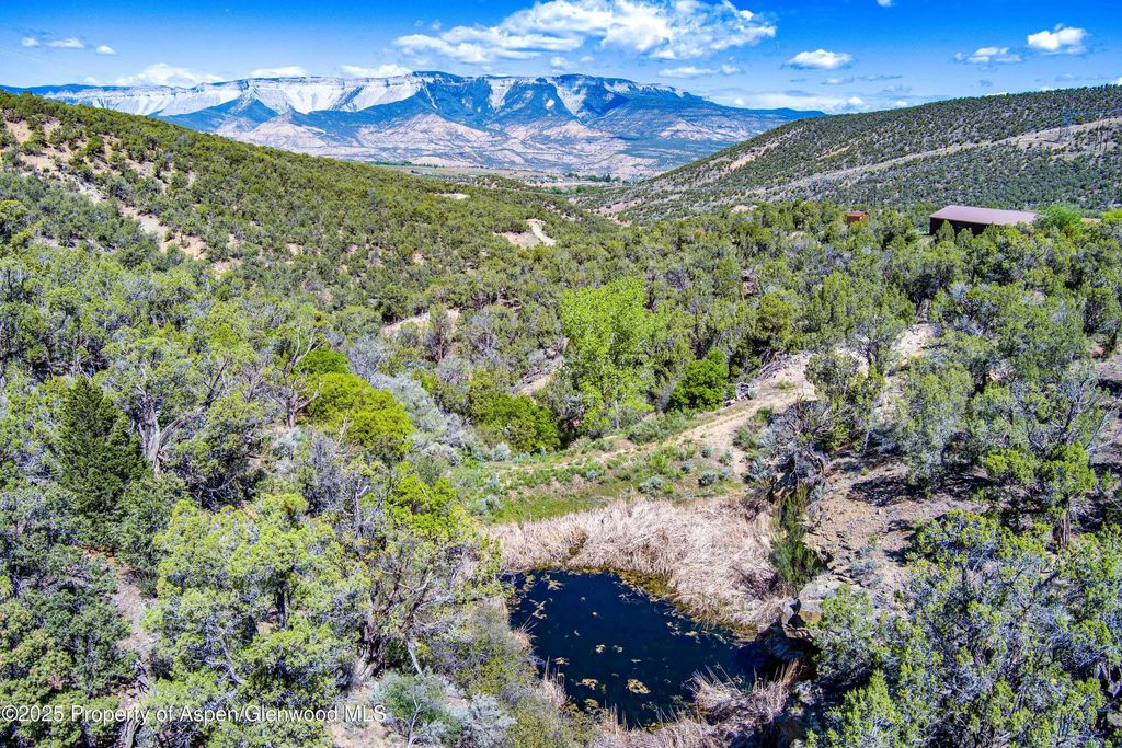 7 of 48 - 10444 County Road 320, Rifle, CO
