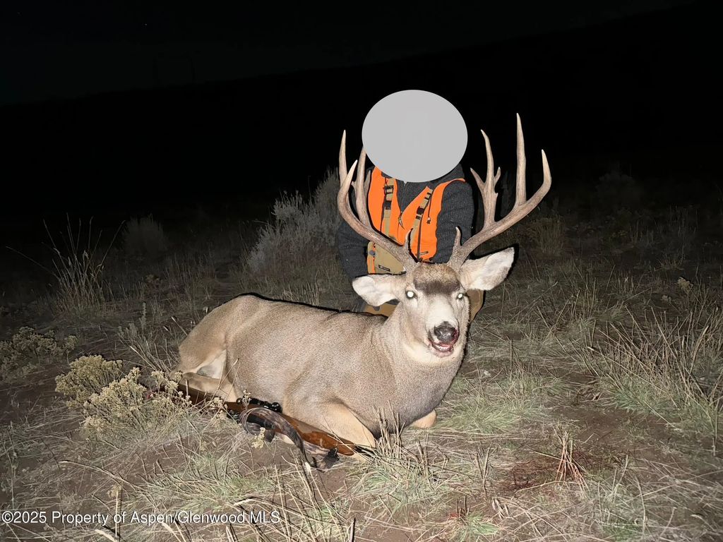 9 of 48 - 10444 County Road 320, Rifle, CO
