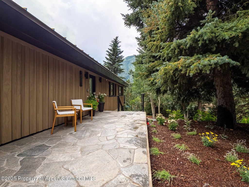 2 of 30 - 51 Roaring Fork Drive, Aspen, CO