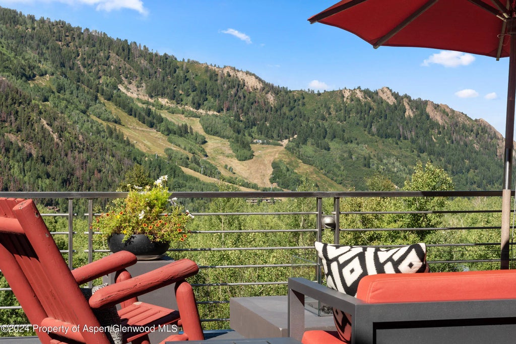 17 of 59 - 552 Mountain Laurel Drive, Aspen, CO